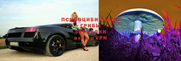 стаф Богородск